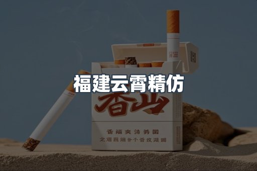 福建云霄精仿
